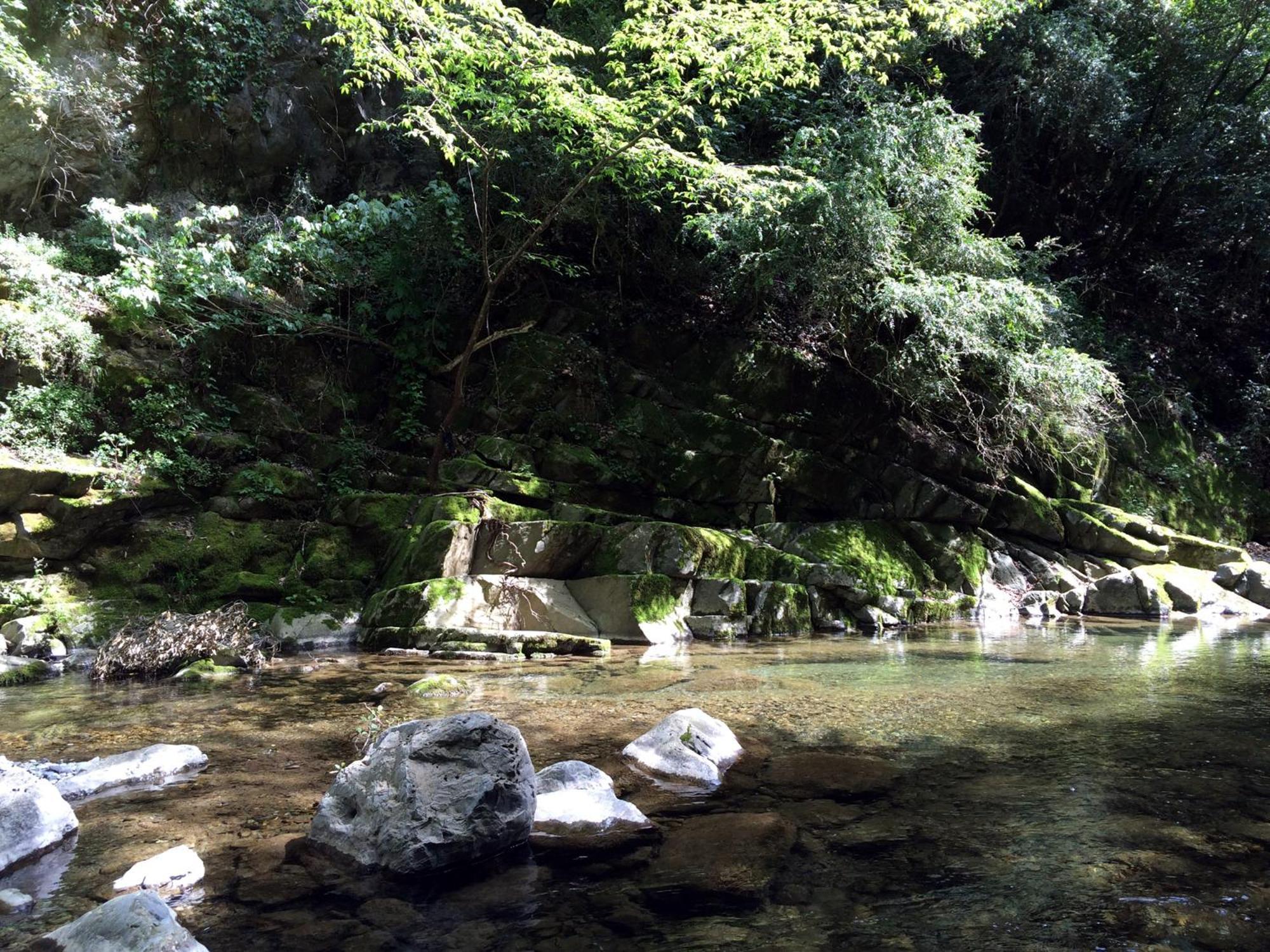 Camping Domaine Sainte Madeleine 소스펠 외부 사진
